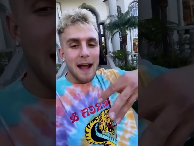Jake Paul stories November 13, 2019