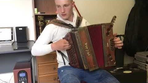 Niko Zajc- Ples komarjev (HARMONIKA_Be-Es-As)