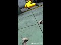 playing scary baboon! (LIVE)