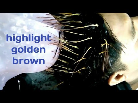 highlight rambut  pria golden brown  warna  rambut  coklat  