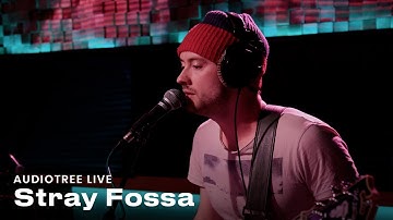 Stray Fossa - For What Was | Audiotree Live