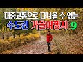 대중교통으로 다녀올 수 있는 수도권의 아름다운 가을여행지 9곳