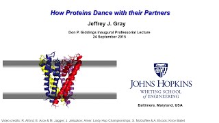 Jeffrey Gray: How Proteins Dance with Their Partners screenshot 4