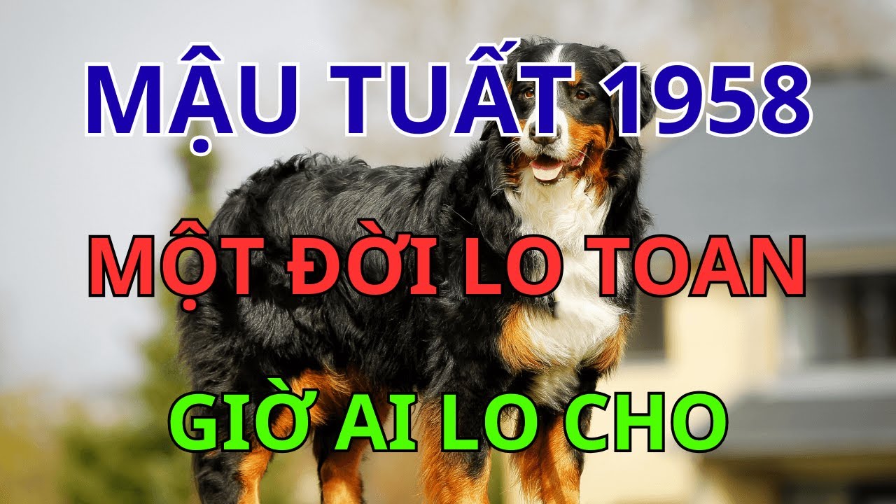 Tuổi Mậu Tuất 1958: Nửa Đời Khổ Cực Vì Con, Hậu Vận Sẽ Được Đền Đáp Bằng Lộc Trời Ban!
