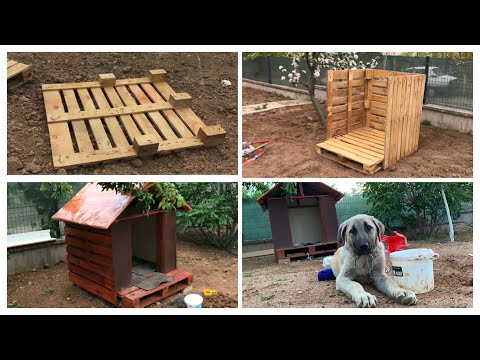 Tahta Paletlerden Köpek Kulübesi Yapımı | Building a Dog House With Wooden Pallets 🏕🪵🐶 #DIY