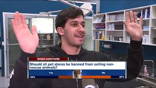 California limits pet store sales of cats, dogs and rabbits to rescue or shelter animals only
