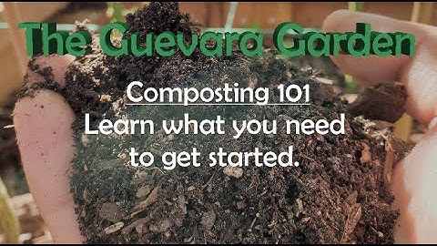 Composting 101 - Learn What You Need to Get Started