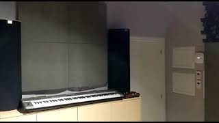Great Home Studio - Acoustic Treatment Advise