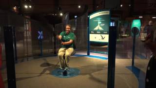 Experience Flight in Nature's Machines: Biomechanics