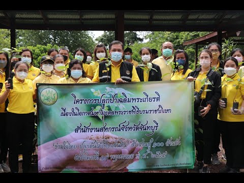 โครงการปลูกป่าเฉลิมพระเกียรติ “รวมใจไทย ปลูกต้นไม้เพื่อแผ่นดิน” สืบสานสู่ 100 ล้านต้น