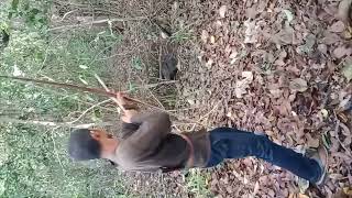 hanting cek jerat babi hutan bersama bocil2 yang takut babi😁#hunting#jeratbabi#wildboar#animals 