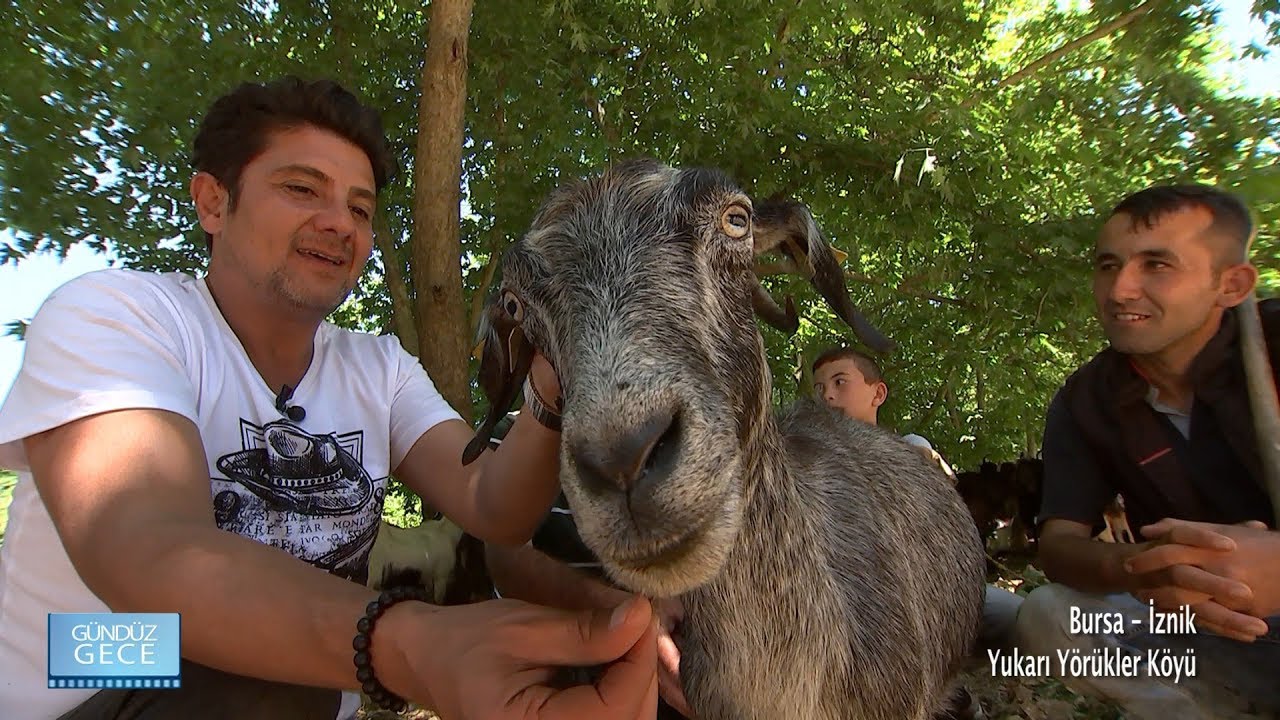 Gündüz Gece - Bursa/İznik - Yukarı Yörükler Köyü - 21 Temmuz 2018