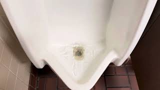 Flushing The Toilet At The Cracker Barrel In Sheffield Ohio