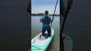 Motorizing Your Paddle Board Is Easy With Bixpy