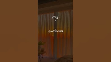 سورة الضحى #المصحف #الرحمن #راحه_نفسيه #القزابري #اكسبلور #الطحان