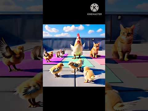 Extreme Yoga: The