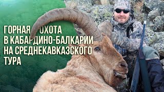 Горная охота в Кабардино-Балкарии на среднекавказского тура