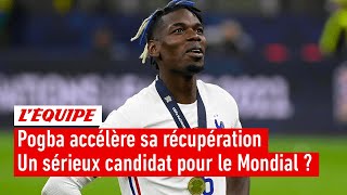 Equipe de France - Pogba peut-il sérieusement postuler au Mondial ?