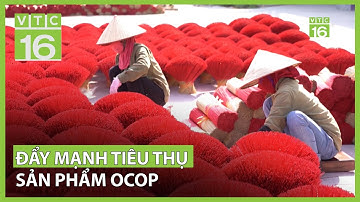 Đẩy mạnh xúc tiến tiêu thụ sản phẩm OCOP | VTC16