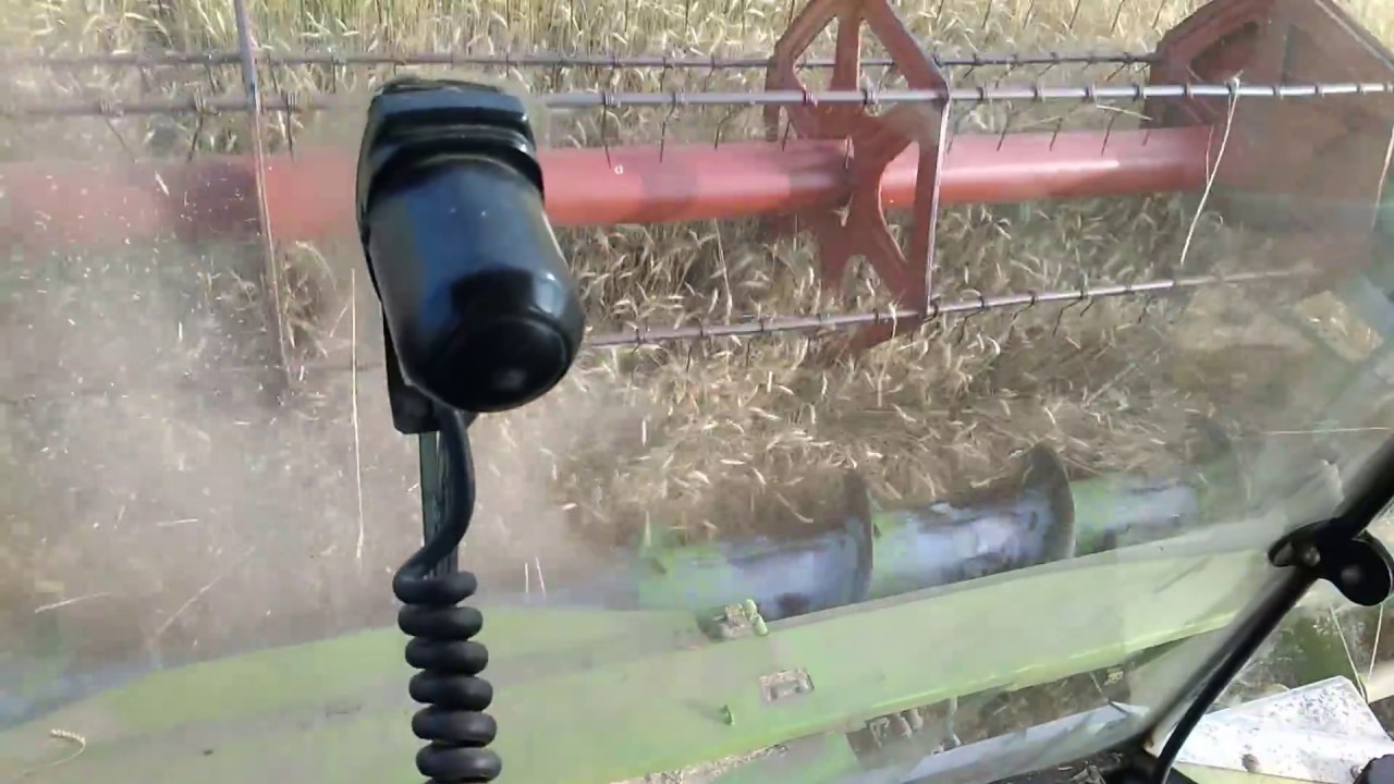 жнива наступили - YouTube