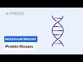 タンパク質キナーゼ:細胞シグナル伝達とリン酸化