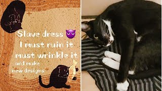 Amma cat makes biscuits on slave dress by (K)CAT(D) 68 views 1 month ago 1 minute, 2 seconds