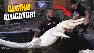 Meeting RARE Albino Alligators! (Wild Florida Adventure!)