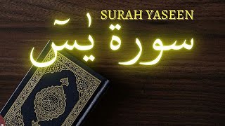 Most beautiful recitation of surah Yaseen #SurahYasin 💛 irsu translation/ hindi سورة يس ، 