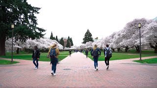 A peek into what actually makes the university of washington such
great place to go school. hint: it's not all usual stuff you hear
about on campus ...