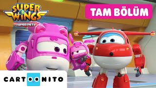 Hari̇ka Kanatlar Kelebek Kurtarma Cartoonito Tam Bölüm