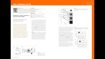 Nico Carl - ILL Annual report 2019
