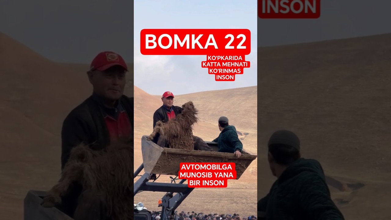 BOMKA 22 🐎🏇🐴🦄