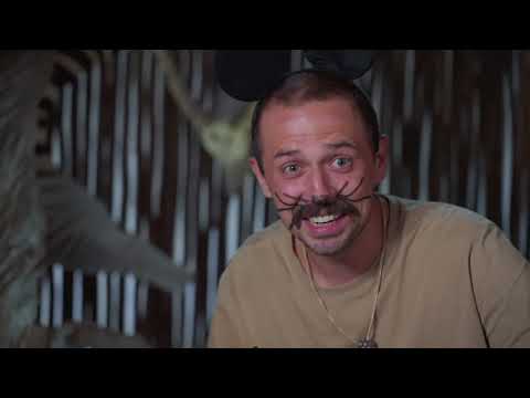 Звёзды в Африке 2: Мышка Олег (Stars in Africa 2: Mouse Oleg)