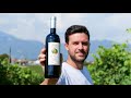 Ãˆ PRONTO il mio VINO