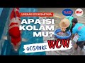 KOHAKU ❗ SANKE ❗ PRODUK AKF  ❗