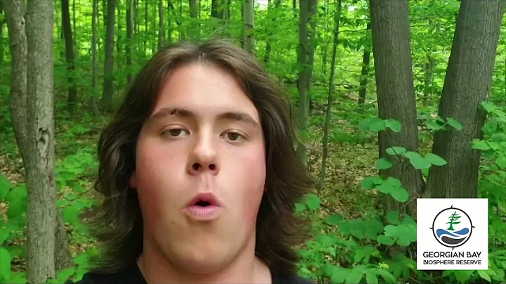 Language with Dawson: Animals in Anishinaabemowin, Part Two