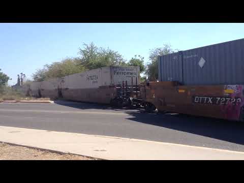 IMG 4916