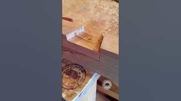 Making a dovetail lap /half lap joint #dovetail #dovetailjoint #joinery #woodworking #shorts #fun