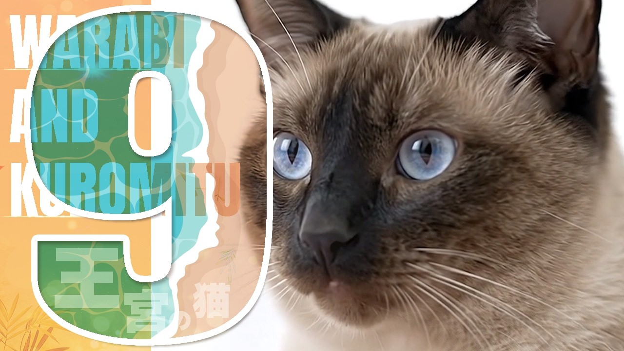The Truth After 8 Years of Rescue] A Dramatic Change from White to