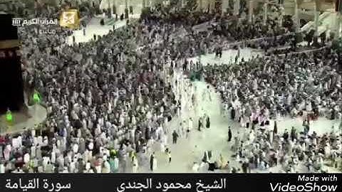 اجمل تلاوة ❤سورة القيامة❤الشيخ محمود عبد الدايم الجندي