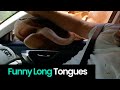 Hilarious Animal Tongues: Long, Silly, &amp; Strange!
