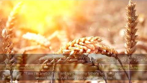 من سورة يوسف  _  القارئ أحمد السويلم