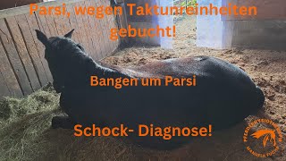 Schock- Diagnose, Parsi und Nina