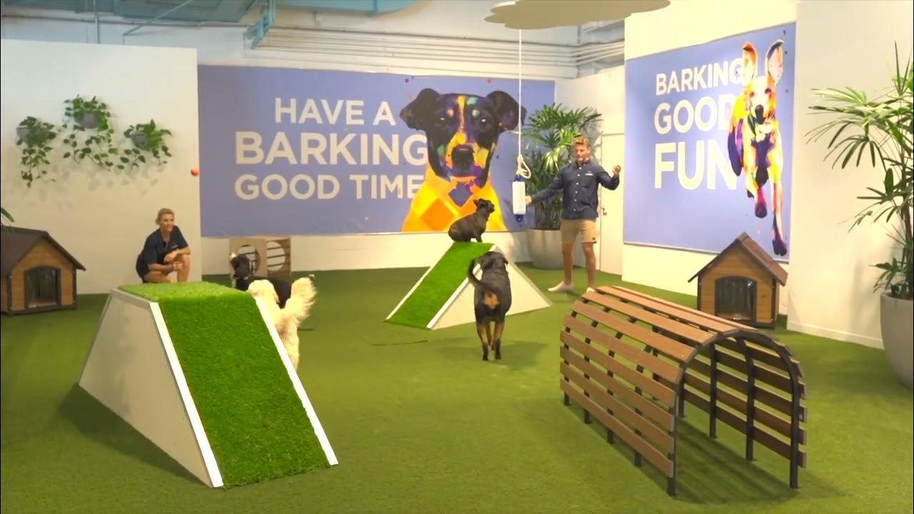 Hanrob Playgrounds Doggy Daycare Westfield Warringah Mall YouTube