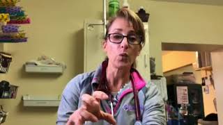How to help your fat cat lose weight. Tips and tricks from the vet. How to help your fat cat lose weight. Tips and tricks from the vet.