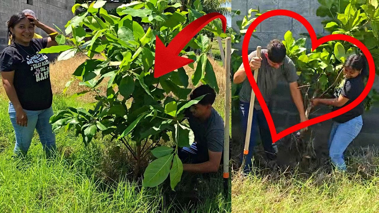 Marlin Le Demostro Su Amor A Raul, Que Lindos Se Ve !😍