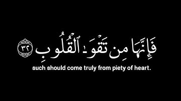 ذَٰلِكَ وَمَن يُعَظِّمْ شَعَائِرَ اللَّهِ | سورة : الحج | رعد الكردي | كرومات شاشة سوداء.