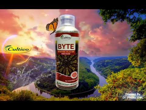 28) Byte