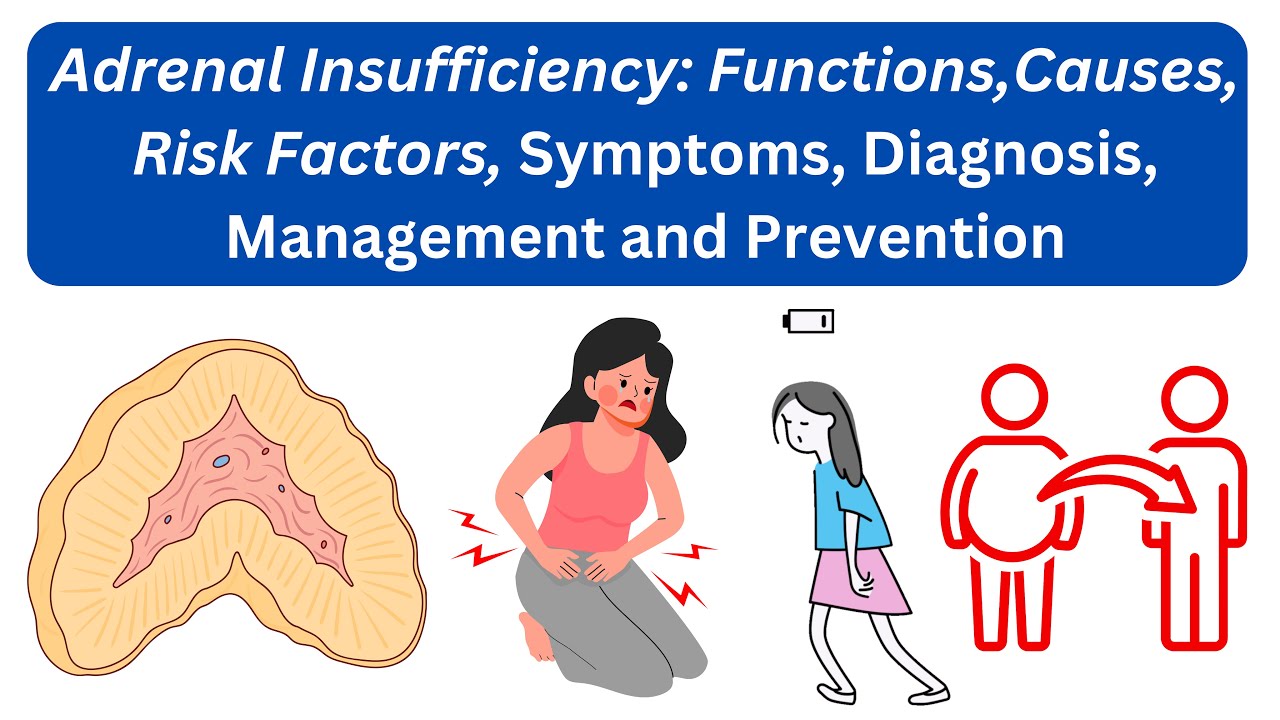 Adrenal Insufficiency: Functions, Causes, Risk Factors, Symptoms ...