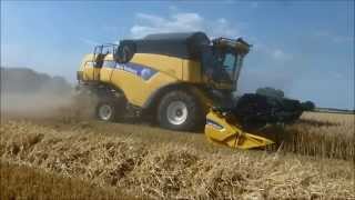 New Holland CX 8070 - Moisson 2014